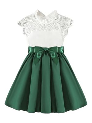 Toddler Girl's Lace Mock Neck Cap Sleeve Dress Belted A Line Flared Dresses
