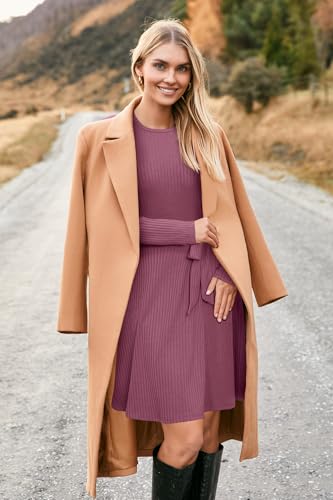 41Nmzb6y3sL.jpg Women's Long Sleeve Fall Teacher Dresses 2025 Work Casual Knit Pockets Winter Sweater Dress Trendy