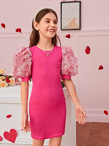 Girl's Ribbed Mesh Short Puff Sleeve Cute Birthday Party Pencil Mini Dress