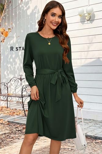 41VrPY256L.jpg Womens Long Sleeve Casual Dresses 2025 Business Work Teacher Fall Church Belted A Line Flowy Midi Dress