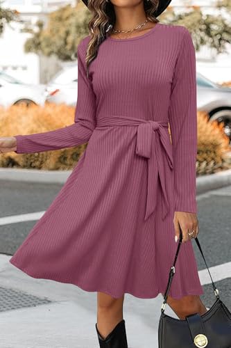 41v2Jn1Pg-L.jpg Women's Long Sleeve Fall Teacher Dresses 2025 Work Casual Knit Pockets Winter Sweater Dress Trendy